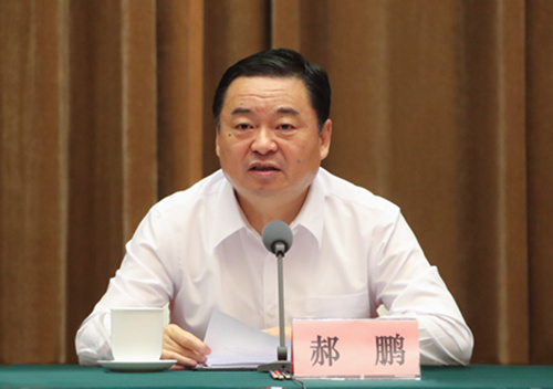 郝鵬、國資、央企、國資委、書記、主任、國企、企業改革